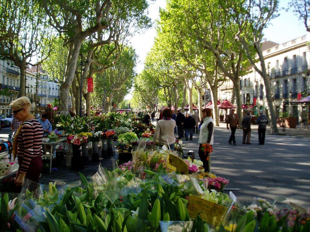 The Originals Access, Hotel Beziers Est Villeneuve-lès-Béziers Εξωτερικό φωτογραφία